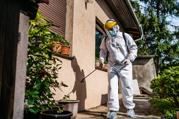 Best Mosquito Control Services  in Cattaraugus, NY