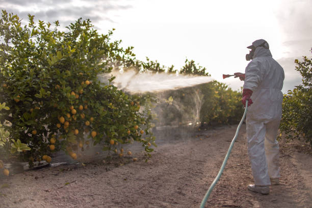 Trusted Cattaraugus, NY Pest Control Experts