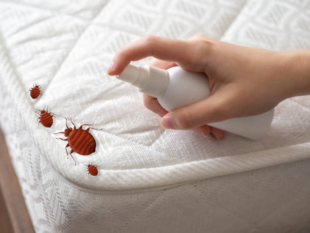 Best Emergency Pest Control  in Cattaraugus, NY