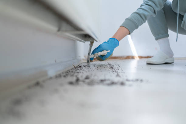 Best Pest Removal Services  in Cattaraugus, NY